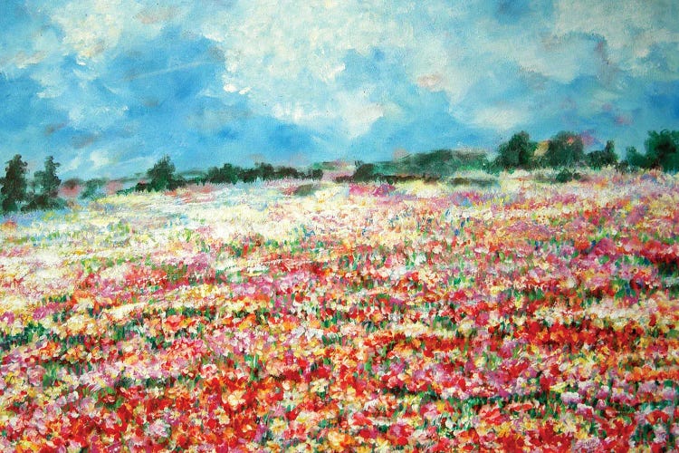 Field Of Flowers by Linda Olsen wall art