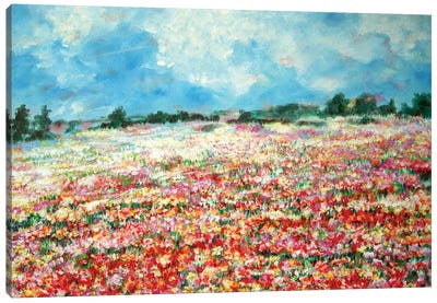 Field Of Flowers Canvas Art Print - Linda Olsen