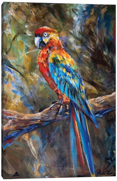 Parrot Canvas Art Print - Linda Olsen
