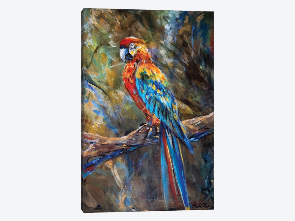 Parrot by Linda Olsen 1-piece Canvas Artwork