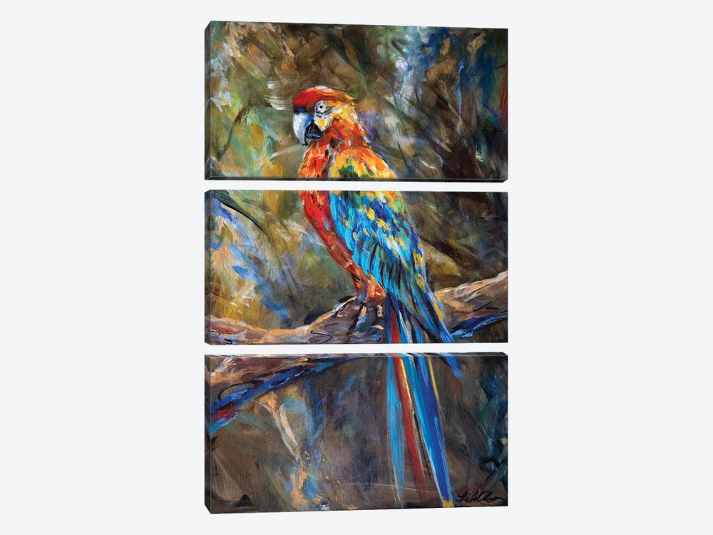 Parrot by Linda Olsen 3-piece Canvas Artwork
