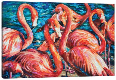 Flamingo Gossip Canvas Art Print - Linda Olsen