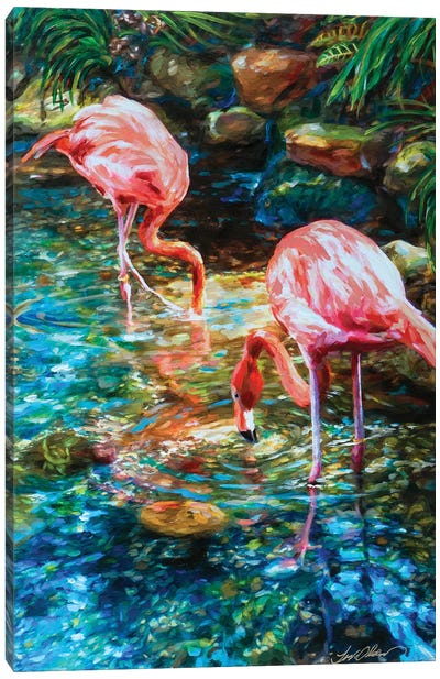 Flamingos Canvas Art Print - Linda Olsen
