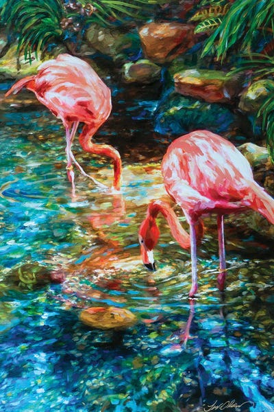 Linda Olsen: Flamingos by Linda Olsen