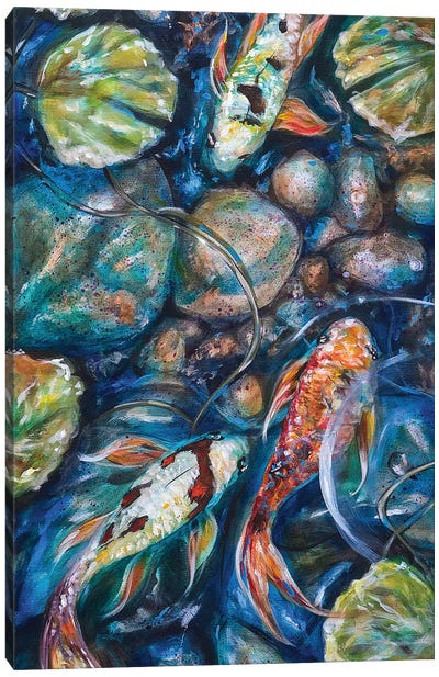 Koi And Rocks Canvas Art Print - Koi Fish Art