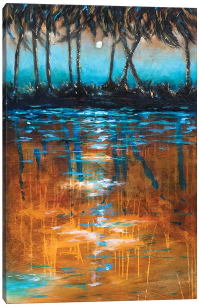 Night View From Kayak Canvas Art Print - Orange & Teal