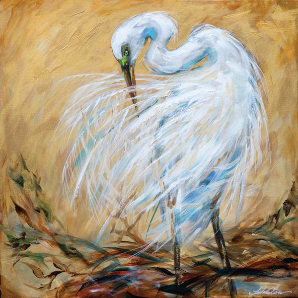 Linda Olsen: Preening by Linda Olsen