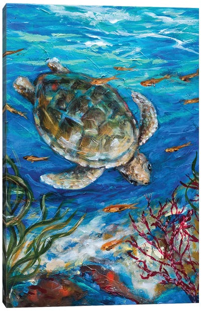 Sea Turtle Dive Canvas Art Print - Reptile & Amphibian Art
