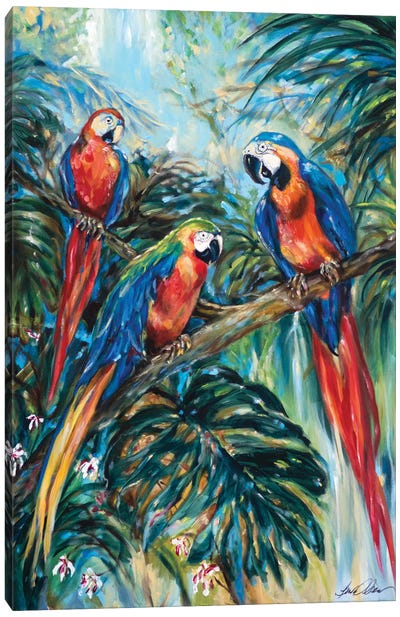 Parrot Choir Canvas Art Print - Linda Olsen