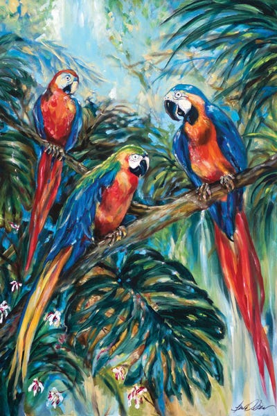 On Island Time: Parrot Choir by Linda Olsen