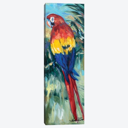 Parrot Perch Canvas Print #LNO74} by Linda Olsen Canvas Wall Art