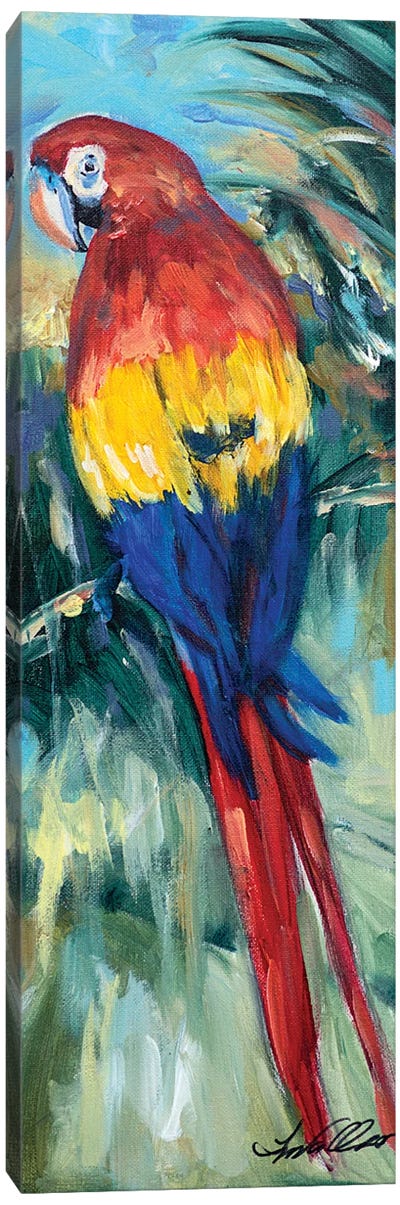 Parrot Perch Canvas Art Print - Linda Olsen