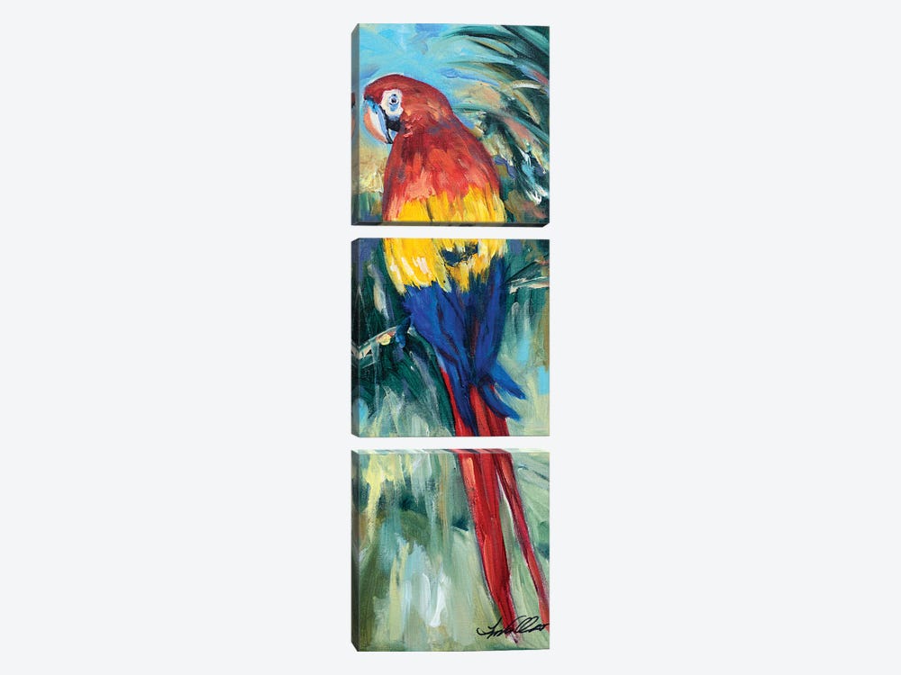 Parrot Perch by Linda Olsen 3-piece Canvas Wall Art