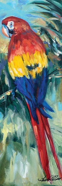 Linda Olsen: Parrot Perch by Linda Olsen