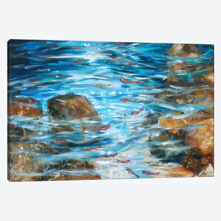 Clear Waters Canvas Print #LNO7} by Linda Olsen Canvas Art Print