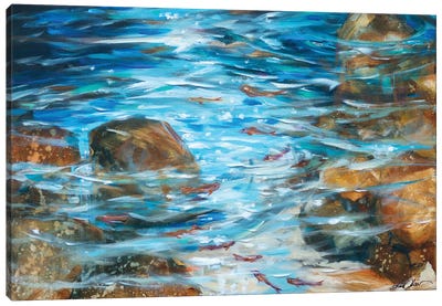 Clear Waters Canvas Art Print - Linda Olsen