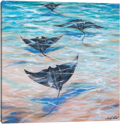 Sailing Under The Water Canvas Art Print - Ray & Stingray Art