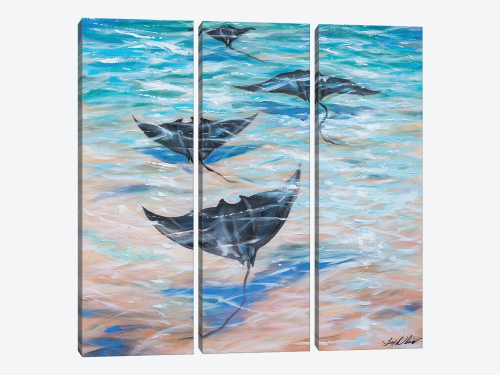 Sailing Under The Water by Linda Olsen 3-piece Canvas Print
