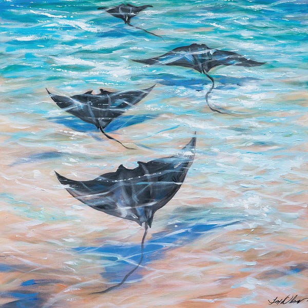 Rays: Sailing Under The Water by Linda Olsen