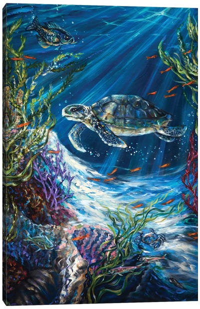 Coral Reef Turtle Canvas Art Print - Reptile & Amphibian Art