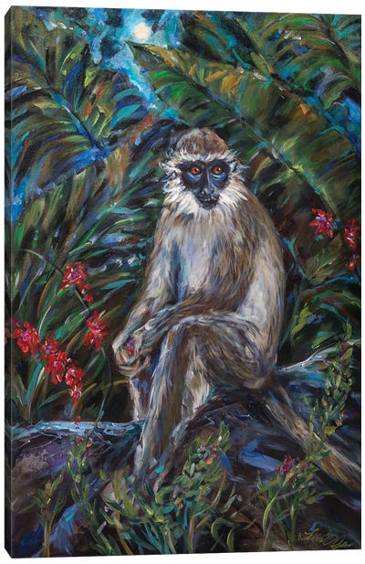 Monkey Moonlight Canvas Art Print - Monkey Art