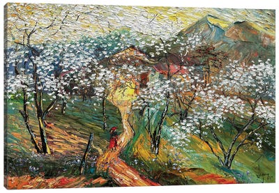 Sunny Spring Pa Phach Village Canvas Art Print - Vietnam Art