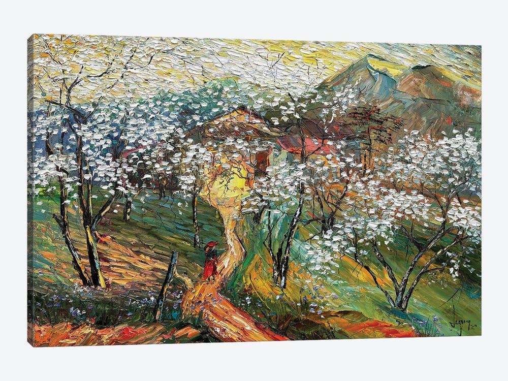 Sunny Spring Pa Phach Village by Le Ngoc Quan 1-piece Canvas Wall Art