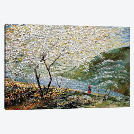 An Area Of White Clouds I Canvas Print #LNQ140} by Le Ngoc Quan Canvas Art