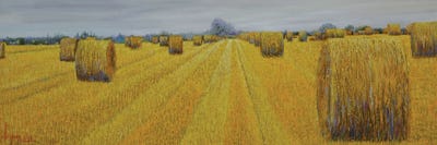 Harvest by Le Ngoc Quan canvas print