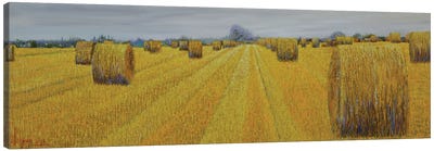Harvest Canvas Art Print