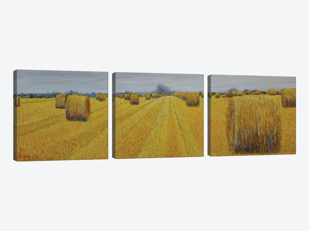 Harvest by Le Ngoc Quan 3-piece Canvas Artwork