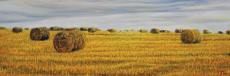 Harvest In Normandy