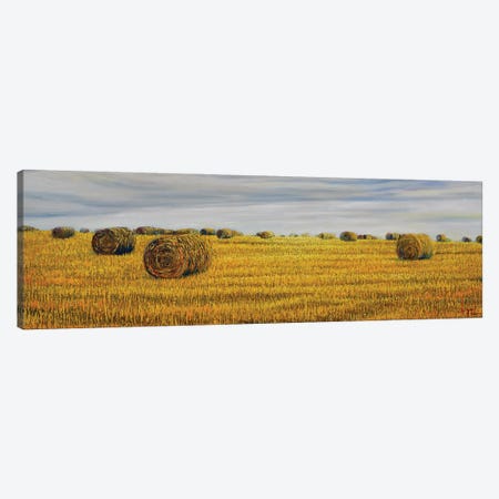 Harvest In Normandy Canvas Print #LNQ33} by Le Ngoc Quan Canvas Print