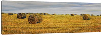 Harvest In Normandy Canvas Art Print - Artists Like Van Gogh