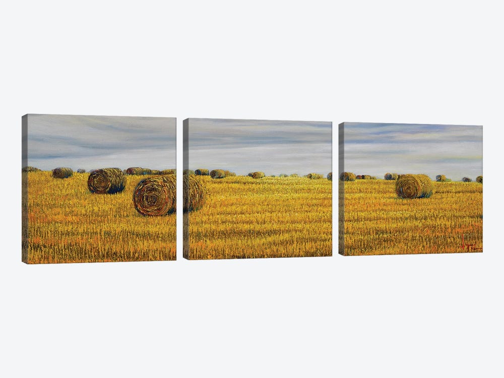 Harvest In Normandy by Le Ngoc Quan 3-piece Canvas Art Print