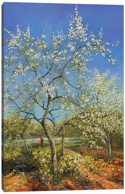 Early Spring Sunshine Canvas Art Print - Le Ngoc Quan