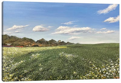 Spring Wind Is Coming Canvas Art Print - Le Ngoc Quan