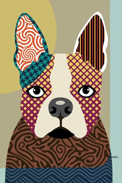Lanre Studio: Boston Terrier by Lanre Studio