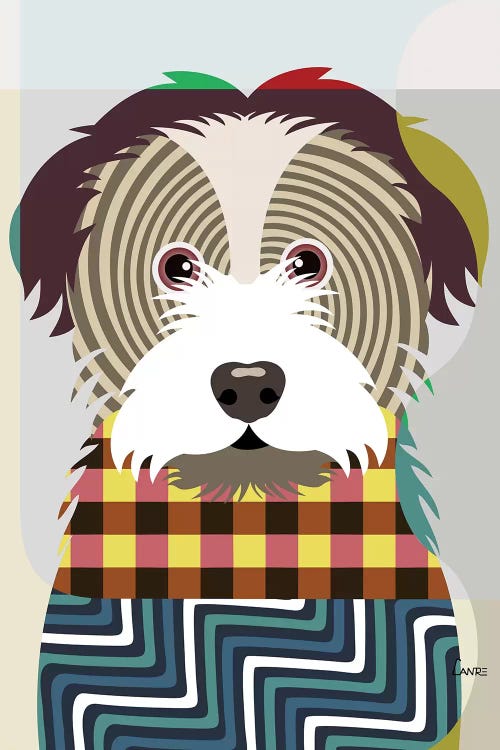 Havanese