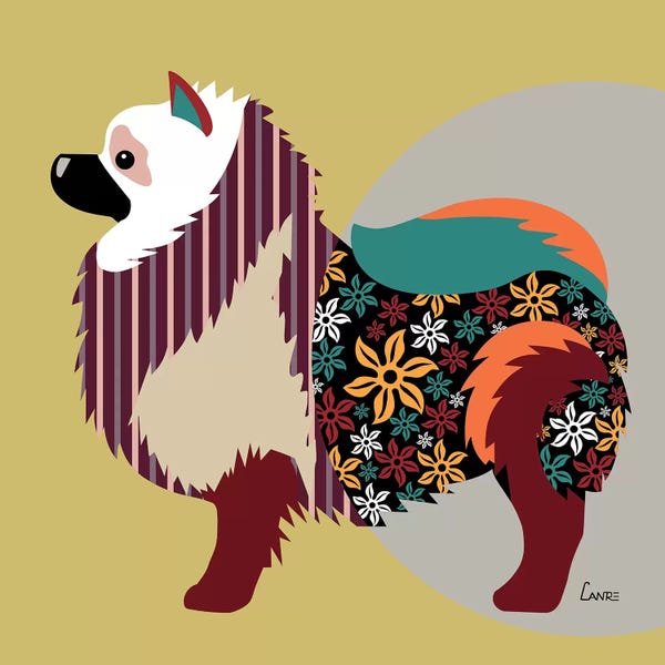 Lanre Studio: Keeshond by Lanre Studio