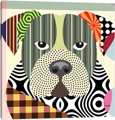American Bulldog Canvas Art Print - Pit Bull Art