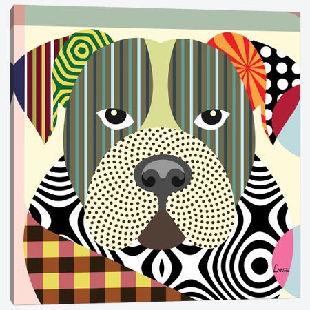 American Bulldog Canvas Print #LNR5} by Lanre Studio Canvas Print