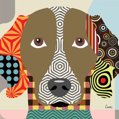 Weimaraner by Lanre Studio framed canvas print