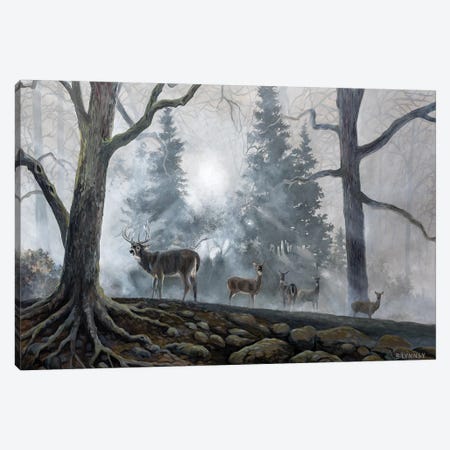 Deer Path I Canvas Print #LNS1} by B. Lynnsy Canvas Art Print