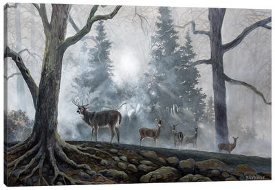Deer Path I Canvas Art Print - Deer Art