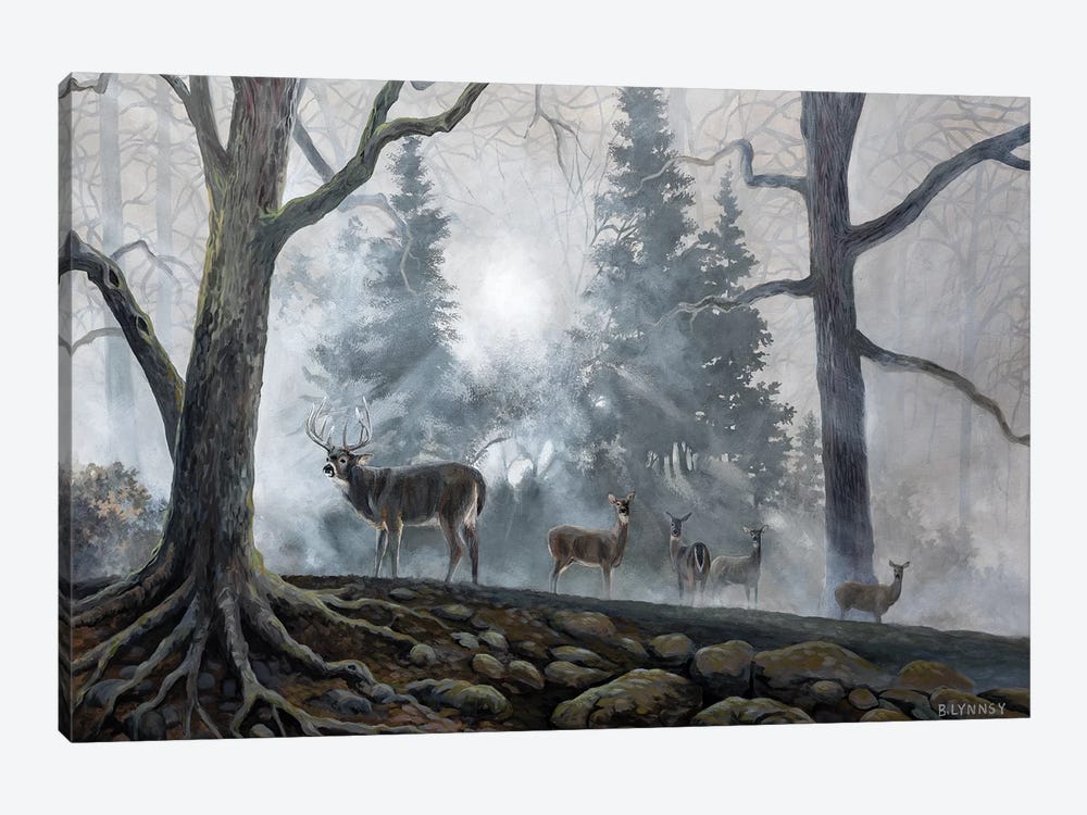 Deer Path I by B. Lynnsy 1-piece Canvas Print