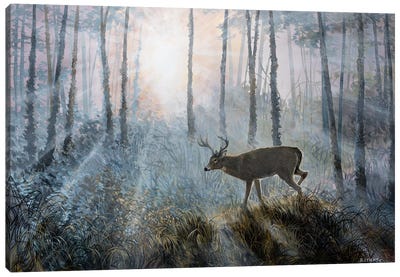 Deer Path IV Canvas Art Print - Deer Art