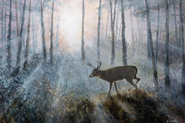 Deer: Deer Path IV by B. Lynnsy