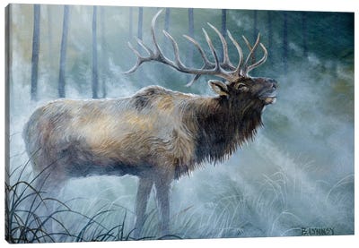 Elk Journey III Canvas Art Print - Elk Art