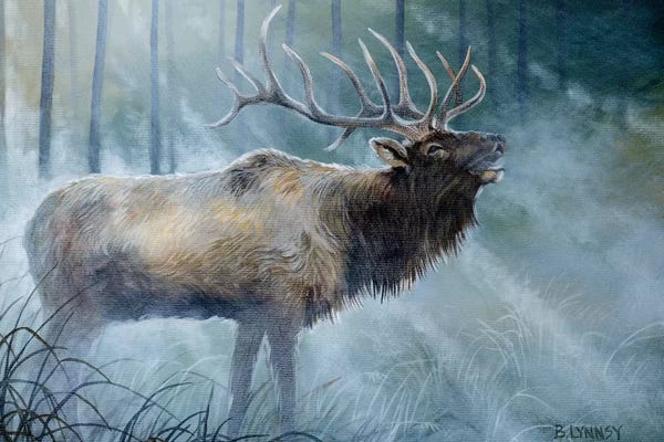 Elk: Elk Journey III by B. Lynnsy